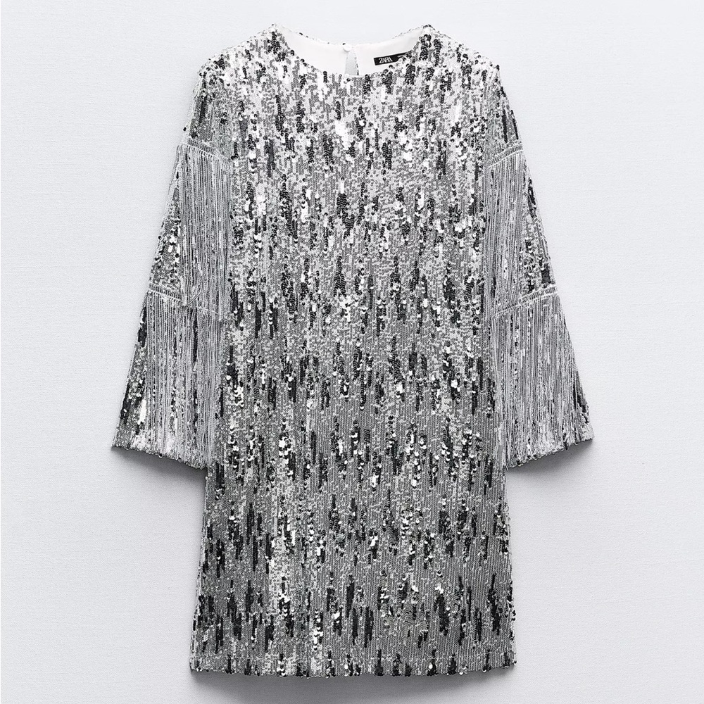 Zara Silver Sequin Fringe Sleeve Dress